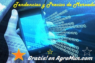 Tendencias de Precios en datria.io