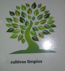 Ofertas en Mercados datria.io