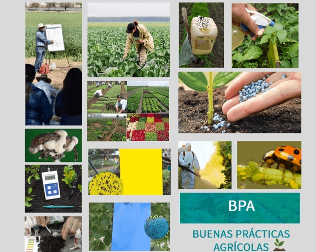 Ofertas en Mercados datria.io