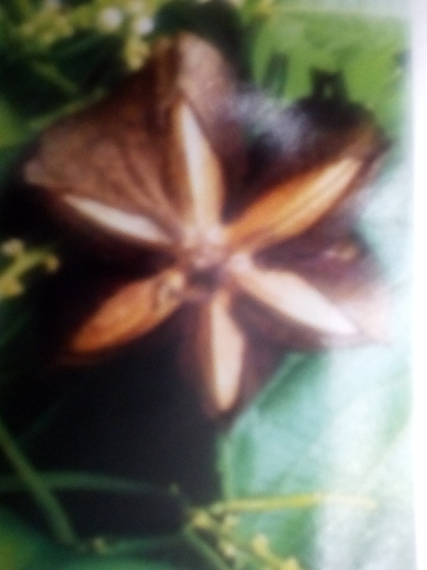 Ofertas en Mercados datria.io