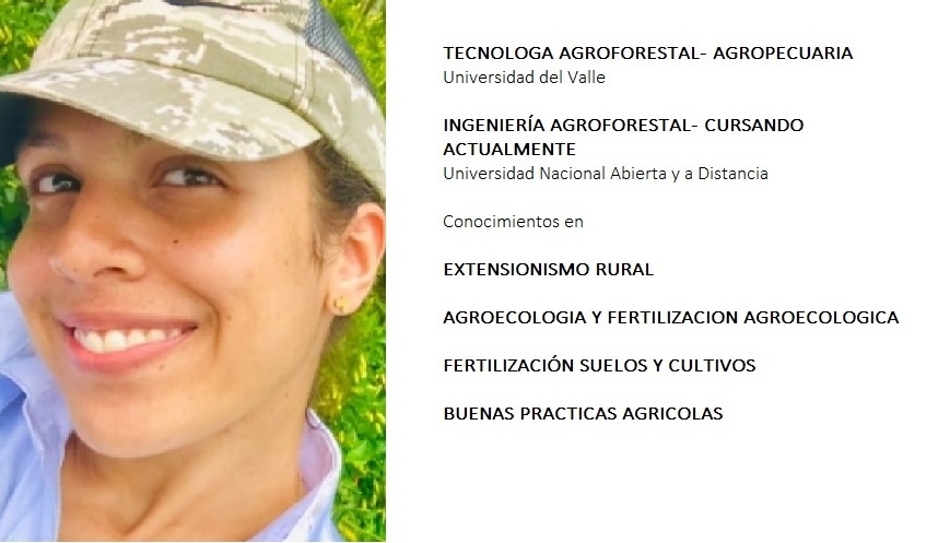 Ofertas en Mercados datria.io