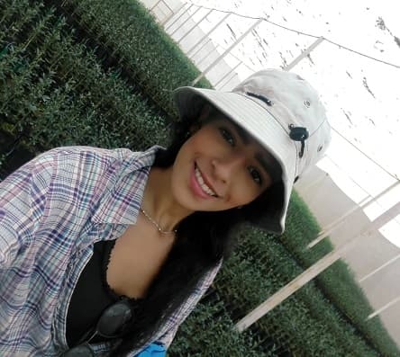 Ofertas en Mercados datria.io