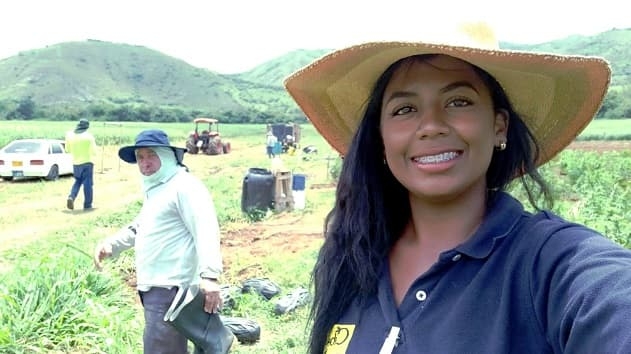 Ofertas en Mercados datria.io