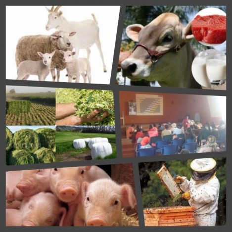 Ofertas en Mercados datria.io