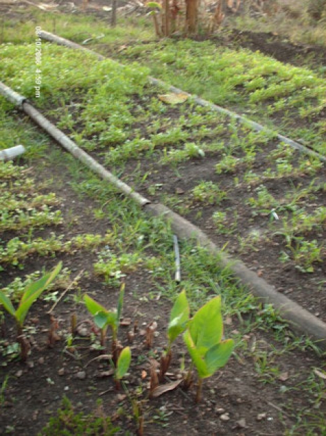 Ofertas en Mercados datria.io