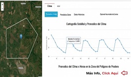 Servicio Más Buscado del Mes