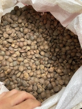 Ofertas en Mercados datria.io